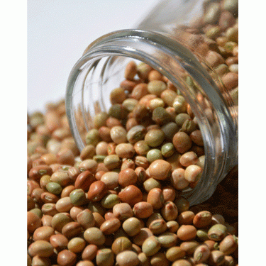 Tor Dal (Pigeon Pea) 500gms